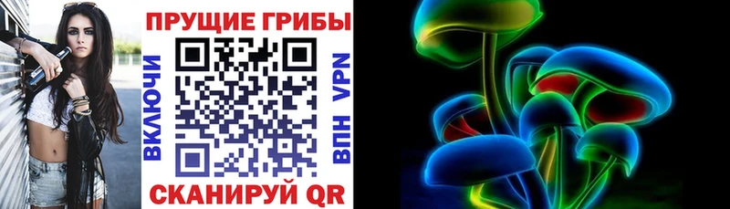 Галлюциногенные грибы GOLDEN TEACHER  мега маркетплейс  Светлый 